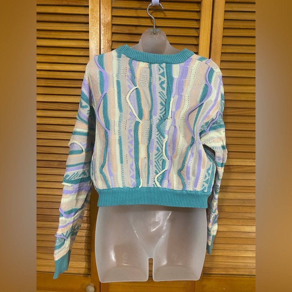 Forever 21: Coogi-inspired sweater I (cropped) - Picture 2 of 7